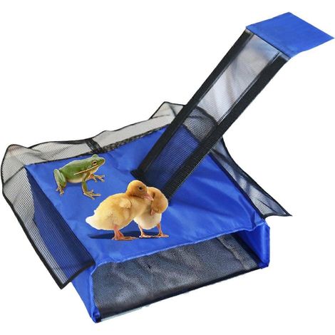 Rampe d'échappement pour animaux de piscine, panier flottant avec échelle, récupérateur de filtre, 71 x 33 x 12 cm (1/5)