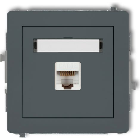 Deco Presa singola per computer 1xRJ45, cat. 5e, 8 pin, grafite opaca 28DGK-1