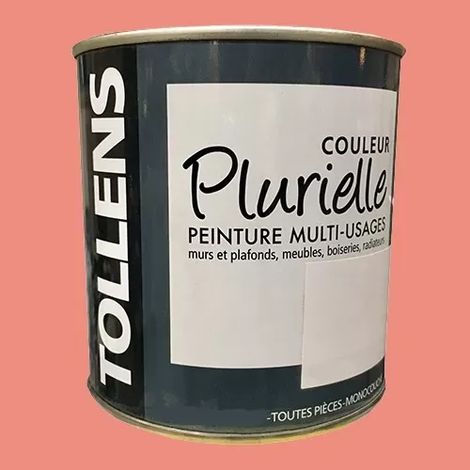 TOLLENS Peinture acrylique multi-usages 'Couleur Plurielle' satin Gourmande 0,5 L (1/2)