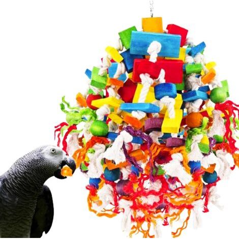 Grand Jouet Perroquet, Jouet à Mâcher Solide,pour Jouet Perruche en Bloc Bois Naturel,pour Cage à Perroquet Et Oiseaux De Grande Et Moyenne Taille Jouet Perroquet Gris du Gabon (Coloré) (1/5)