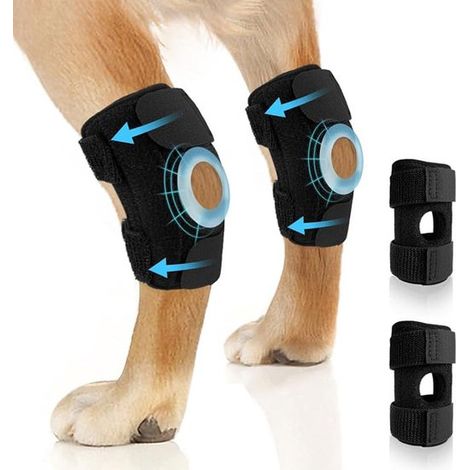 Genouillère pour chien, taille L. Protection des genoux pour chiens. Bandage pour chien. Support pour chien. Protection des genoux pour chiots. Protection des pattes pour chiens. Genouillère pour anim (1/5)