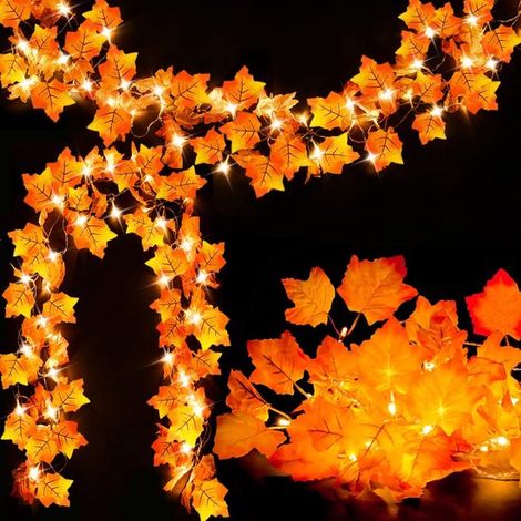 Ensemble de 2 guirlandes lumineuses décoratives d'automne - Guirlande lumineuse - Éclairage d'automne - 20 LED - Fonctionne sur piles - 3 m - Décoration automnale - Idéale pour la décoration de table, (1/5)