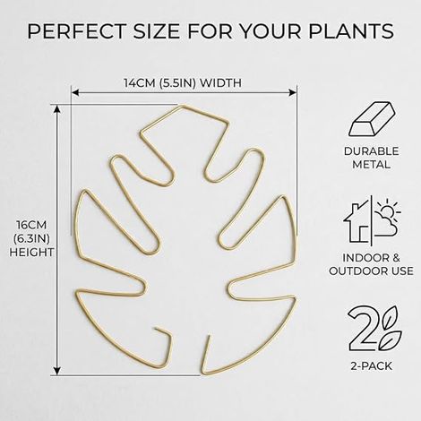 Monstera Lot de supports de plantes ronds pour plantes grimpantes (1/4)