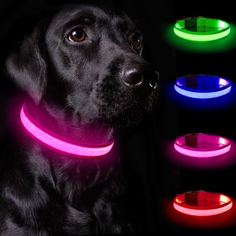 Ortviai – LED-Leuchthalsband Hund, rosa – USB-aufladbares Nylonhalsband mit 3 Leuchtmodi, längenverstellbar – kompatibel mit mittelgroßen und großen Hunden (1/5)