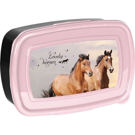 Boîte à lunch PP25HA-3022