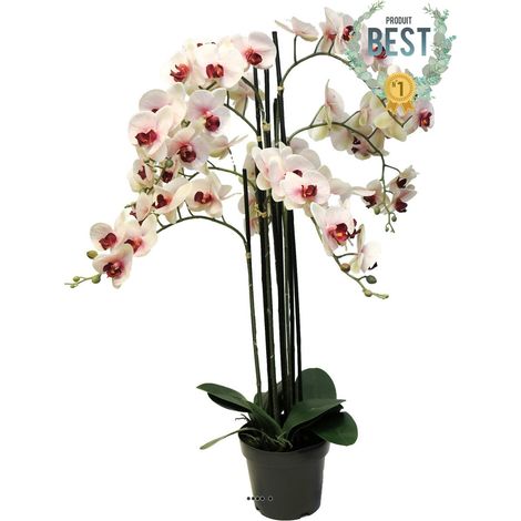 Orchidée Phalaenopsis facticeTop Qualité & pot H110cm Rose-pâle-BEST - dimhaut: H 110 cm - couleur: Rose-crème