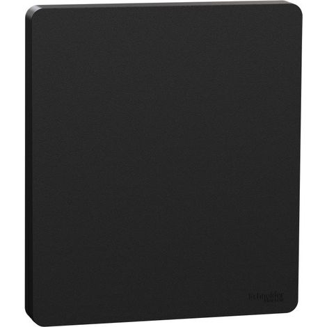 Enjoliveur intégral Architecte noir 1 poste pour va-et-vient ou poussoir Odace (S949223) (1/3)