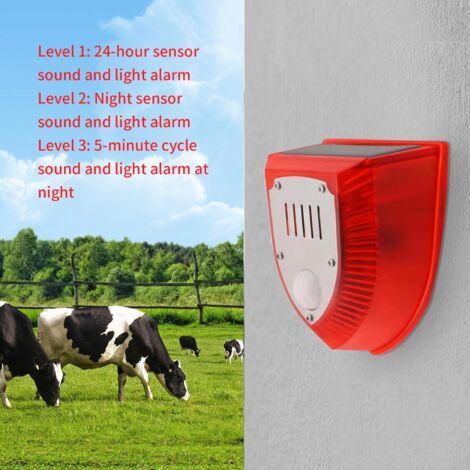 Allarme Solari Antivolatori con Suono, 8 x 9,5 cm, Dispositivo Antiuccelli per Agricoltura – Sensore Solare Impermeabile per Camping, Azienda Agricola, Frutteto, Esterno (1/4)
