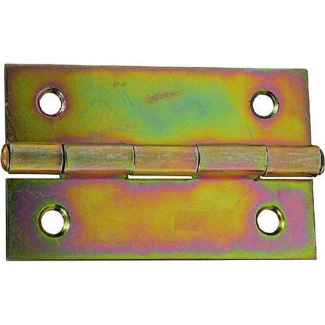 Cerniere Zincate B/G Strette Perno Fisso Mm. 51X31 Cf.Bl.50Pz