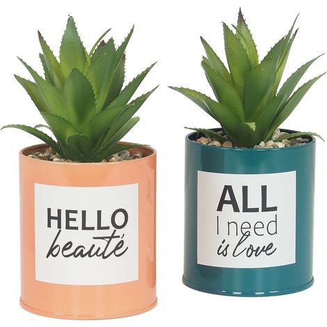 Succulentes artificielles dans pots à message 17 cm (Lot de 2)