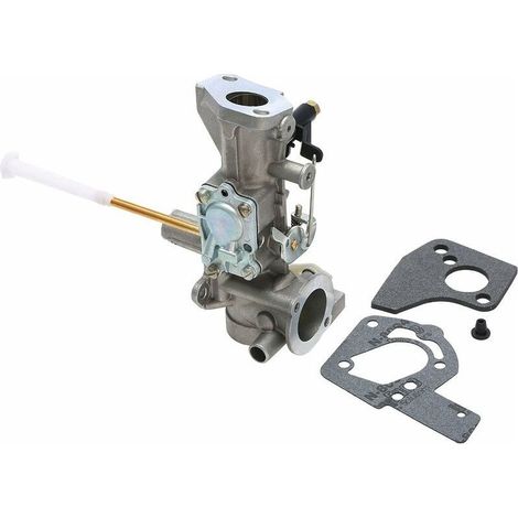 Carburateur pour Briggs & Stratton 498298 495426 692784 495951 W (1/5)
