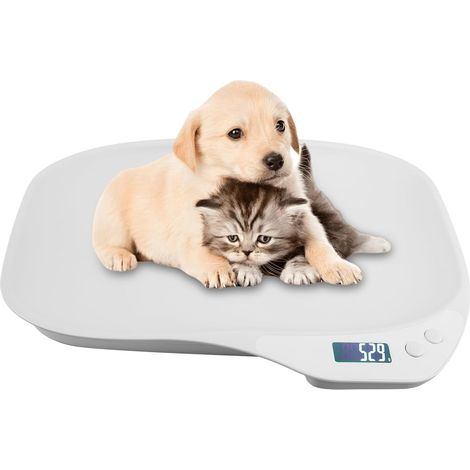 Balance électronique pour petits animaux, 15 kg, pour chatons, chiots, hamsters, oiseaux, lapins, animaux domestiques (1/5)