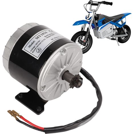 Für den Razor E300 (Übergewicht) ist ein 350-W-Bürstenmotor geeignet. (1/5)
