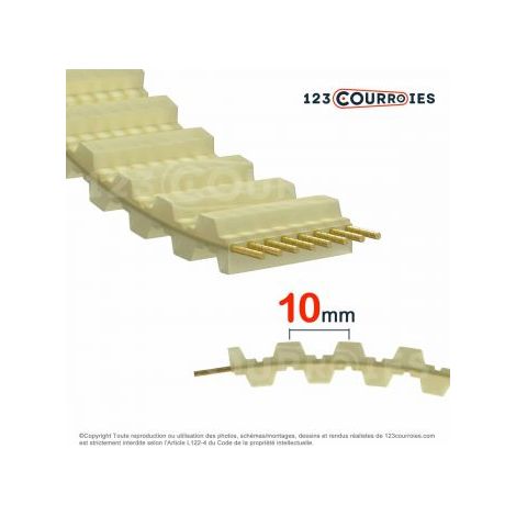 Courroie double dentée polyuréthane DT10-700-12