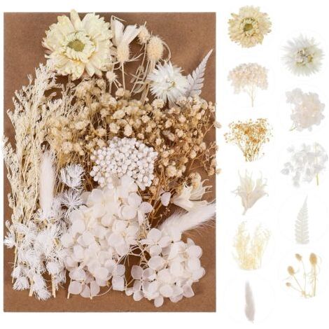 Dried Flowers, Real Pressed Dried Flowers and Natural Dried Leaves Dried Flowers Epoxy Resin Mix for Making Decoration Shells DIY Resin (1/5)