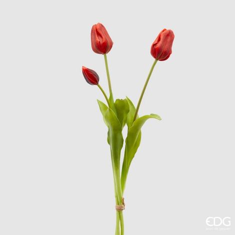 EDG Enzo De Gasperi Tulipano Gommato Olis 3 Rami H 48 Cm Rosso 1 Cf