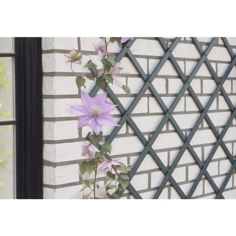 Treillis extensible NATURE en plastique anthracite 50 x 150 cm