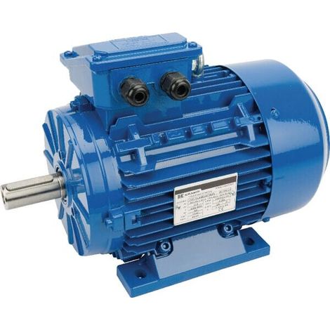 Moteur électrique 2,2 kW UNIVERSEL EM100LA4B3300IE3A (1/4)