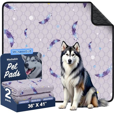 Tapis Absorbant Chien, Tapis Chien Lavable, 92x104 cm, Lot de 2, Plume (1/5)