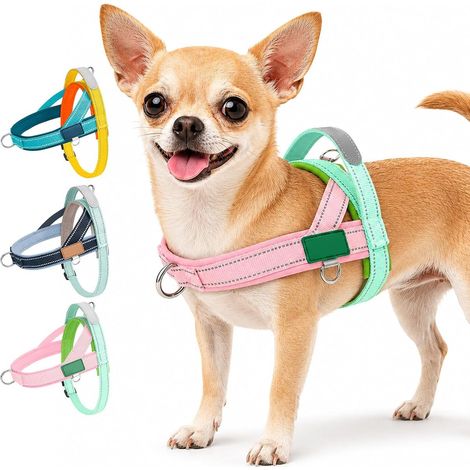 Arnés ajustable en forma de T, talla M - Ideal para pasear al perro y para caminatas diarias - Para perros pequeños y medianos - Arnés de mano antitirones (1/5)