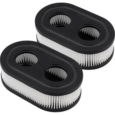 Lot 2 Filtres à Air Pour Briggs & Stratton 593260 / 798452 – Compatibles 550EX