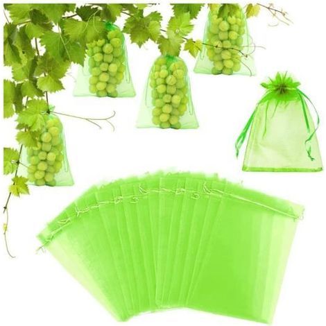 100 Fruit Protection Bags, 30 x 20 cm, for Grape Clusters Against Birds and Insects (Wasps) (1/4)