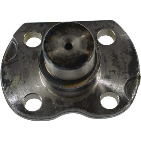 Pivotes mu帽贸n del eje CARRARO CI128904 (1/3)