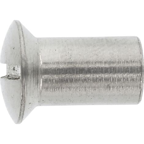Hülsenmutter Linsensenkkopf M 8x 20 Edelstahl A4 mit Schlitz