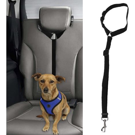 Hunde-Autoleinenring, Hunde-Sicherheitsgurt, Rücksitzleine, schwarz (1/5)