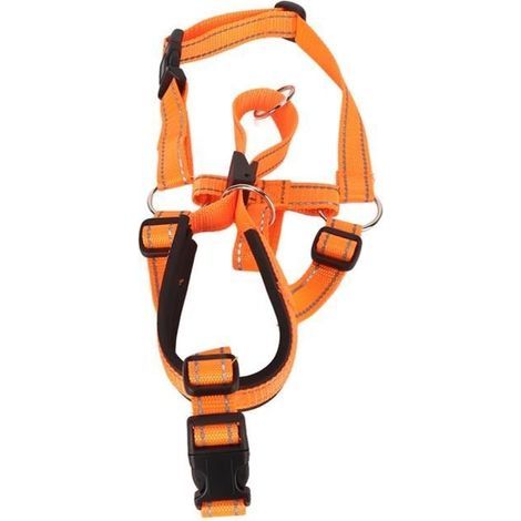 Museruola per cani in nylon, Museruola regolabile per cani, Previene l'abbaio, Accessori per animali domestici, Trasporto, M (1/4)