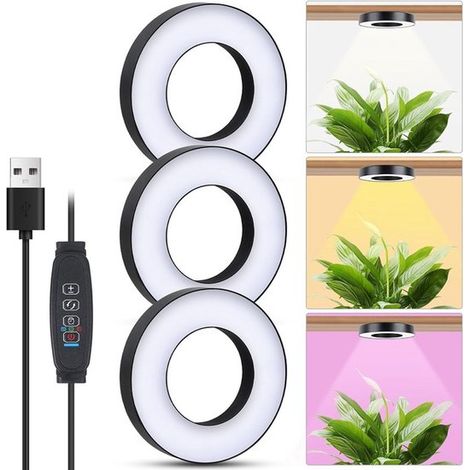 Lampe horticole LED pour plantes d'intérieur - 5 V - Convient aux petites plantes - Noir - 19 x 12 x 4 cm (1/5)
