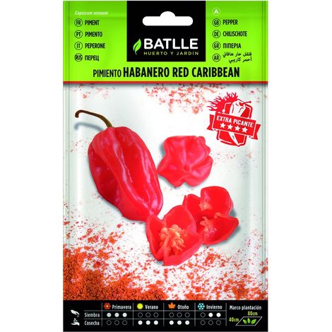 Pimiento Habanero Red Caribean