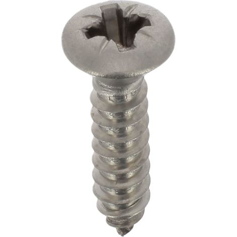 Vis à Tôle Tête Inox A4 Fraisée Bombée Pozidrive, 4.2mm x 19mm, DIN 7983, Lot de 20, Zinc Blanc (1/4)