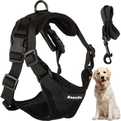 Filiyano-Harnais pour chien XL avec laisse amovible de 150 cm, noir réfléchissant. (1/5)