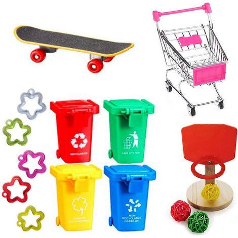 Ensemble de jouets pour l'entraînement des oiseaux : skateboard, poubelles, panier de basket, chariot de courses. (1/5)