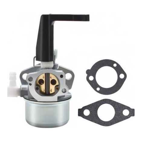 696065 Carburador de repuesto con kit de juntas para Briggs & Stratton (1/4)