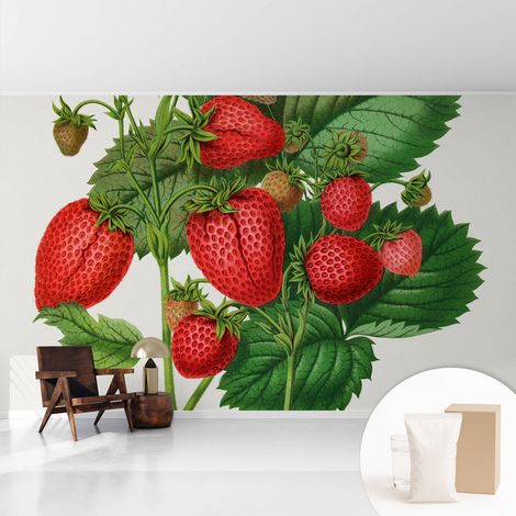 Tapete Vliestapete mit Kleber - trendige Wanddeko - elegant Fototapete für Wohnzimmer - Schlafzimmer Sommerfrüchte 416x254 cm (1/5)