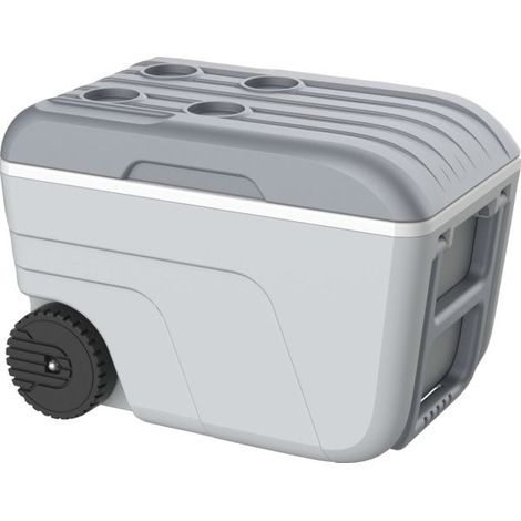Glacière Curver 52l Grande Capacité, Transport Aisé - Curver