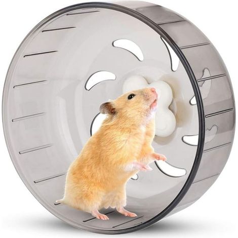 Wheel of Stroke of Hamster, Wheel of Hamster of 13 cm Small Wheel exercise of Hamster for pets Toy of Stroke in Plastic Quiet for Hamster Gerbille Cobaye- (1/5)