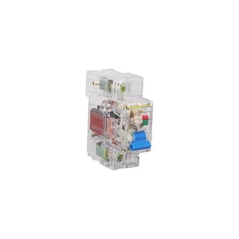 Disjoncteur transparent 1P à déclenchement sensible, en ABS, 230 V/400 V, 125 A (1/5)