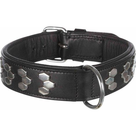Active collare con applicazioni nero: L-XL: 55-65cm/40mm (1/2)