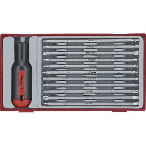 Jeu de tournevis avec embout long TT1 tray PZ- TX- HEX- PH 12 pièces Teng Tools TTMD12D (1/2)