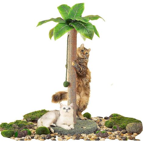 Arbre à chat Griffoir de 35 pouces de hauteur avec corde en sisal pour arbre à chat d'intérieur (1/3)