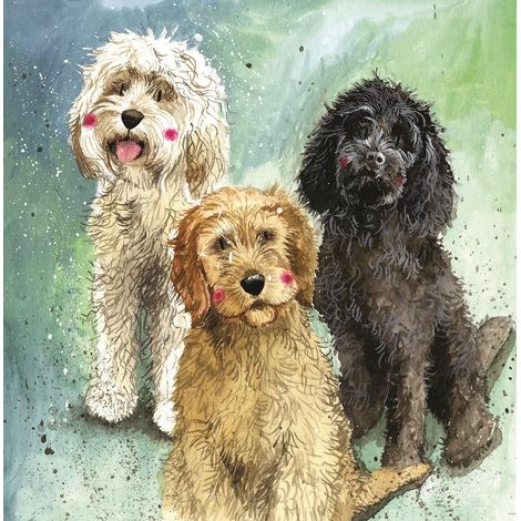 AC745 Cockapoo Dogs Pass