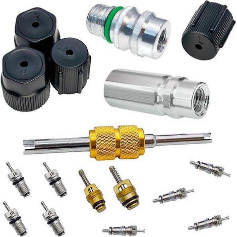 Kit d'outils pour l'entretien des climatiseurs : assortiment de noyaux de vannes, extracteur de noyaux, accessoire de réparation pour climatiseurs R12 et R134A (1/5)