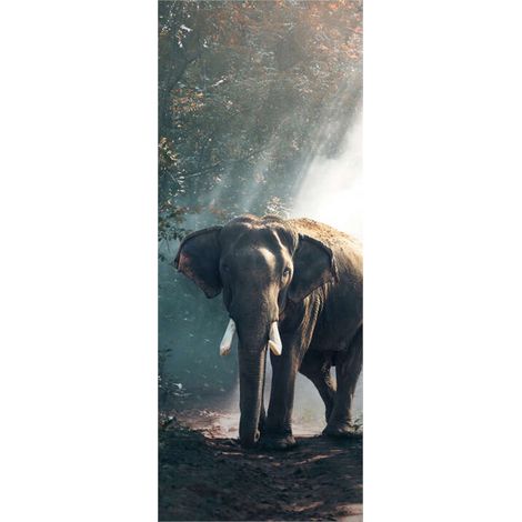 Panneau mural douche en alu-composite VIPANEL - Inspiration Nature Décor Elephant - Finition Brillant - 100x255cm (1/5)