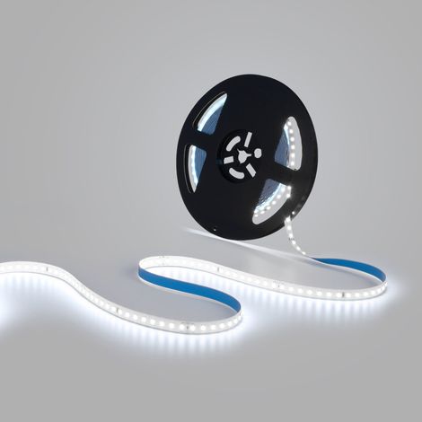 Ruban LED 48V DC - Monochrome - 12W/m - 10mm - 10 mètres - - Blanc Froid