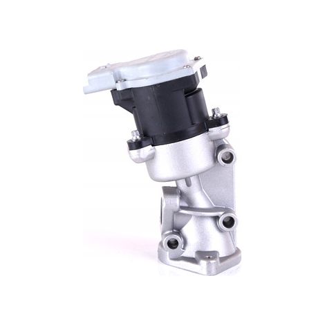 Valvola EGR Nissens 98351