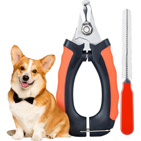 Cortaúñas para gatos, cortaúñas para gatitos, cortaúñas para perros, cortaúñas de acero inoxidable para gatos, cortaúñas para cachorros y gatitos, animales pequeños. (1/5)