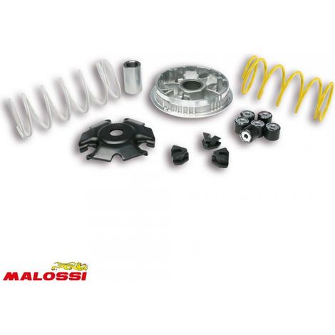 malossi variator für roller piaggio 125 vespa sprint nach 2013